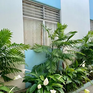 Alojamento de Acomodação e Pequeno-almoço Casa Quetzal 
